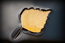 Ship Herbst / ***