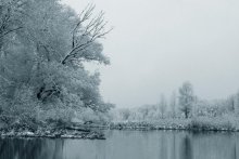 Winter / ... ...