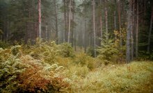 ruhig Herbst kommt / *********