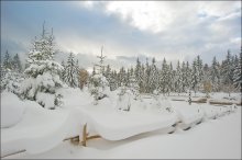 Winter / ***