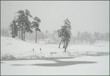 Schneefall / * * *