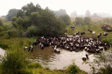 Badende (2010) / ***