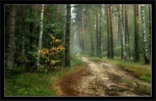 Bald Herbst. / ***