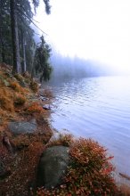 Autumn Tale / ***