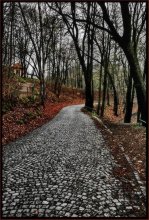 Dass der Herbst gekommen ist .... / ***