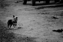Home ...? / ***