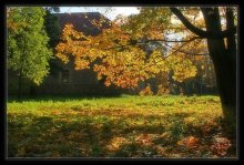 Herbst Licht / ***