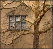 Zuordnung / ***