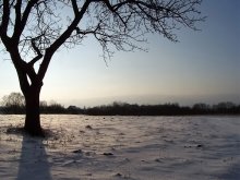 Der Winter kommt ... / ***