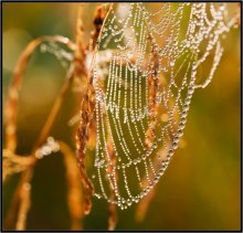 Perlen ... / ***