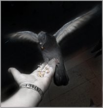 Hier ist meine Hand ..... / ***