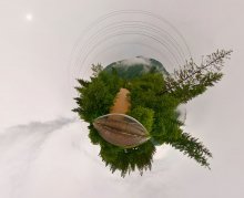 Planet Cocoa / ***