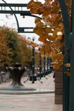 Herbst ist gekommen ... / ***