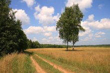 unter Hinweis auf die warmen Sommer ... / \\\\\\\\\\