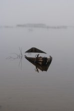 Nebel / ******