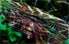 Regenbogen / ***