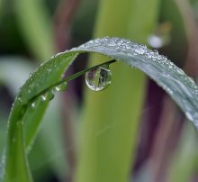 Ein ruhiger Fleck ... / ***