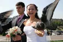 Doves of Happiness / ***