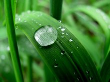 Nach dem Regen / ------