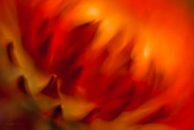 Feuer! / ***