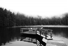 Talking with Nature: Fog #2 / ***