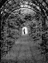 Tunnel / ***