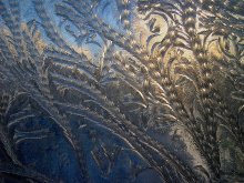 Frosty Muster - "Auf dem Meeresgrund ..." / ***