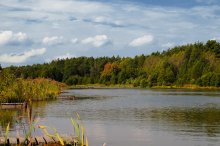 Vorboten des Herbstes. / ...................