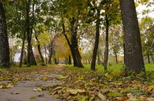 Herbst / ***************