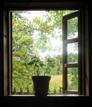Fenster im Herbst / ***