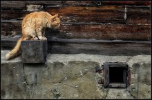 Warten auf ein Wunder ... / ***