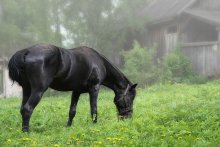 Bald arbeiten / *******