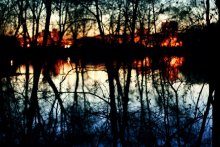 Cozh in der Flut / ***