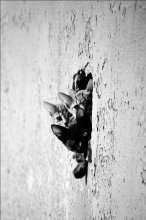 und wir? / ***