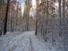 Snow Herbst 2006 / .....