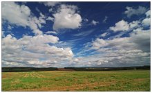 Herbst Feld / ----------------