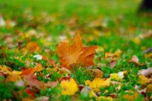 Whirlpool Herbst / *******