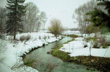 Snowy River / ***
