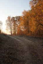Herbst / ***