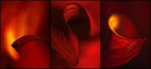 Geogin. Triptychon. / ***