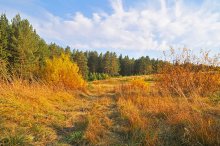 Herbst / ***