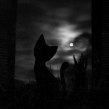 MoonCat / ***