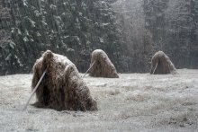 Glacial age / ***
