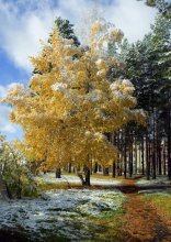 Herbst in der Stadt / ***
