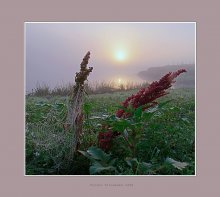 Ein Fragment von einem Morgen im August / ***