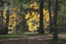 Herbst / ******