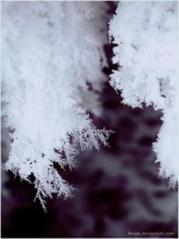 winter:frost.2 / ***