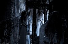 living dead / ***