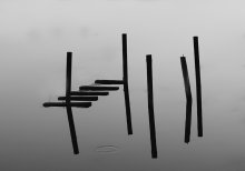 Reflections ... / ***