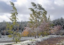 September Schnee / ***